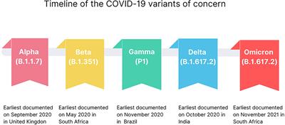 SARS-CoV-2’s Variants of Concern: A Brief Characterization